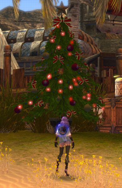 冒険34日目 サボテン村のメリークリスマス おじさんのtera冒険記